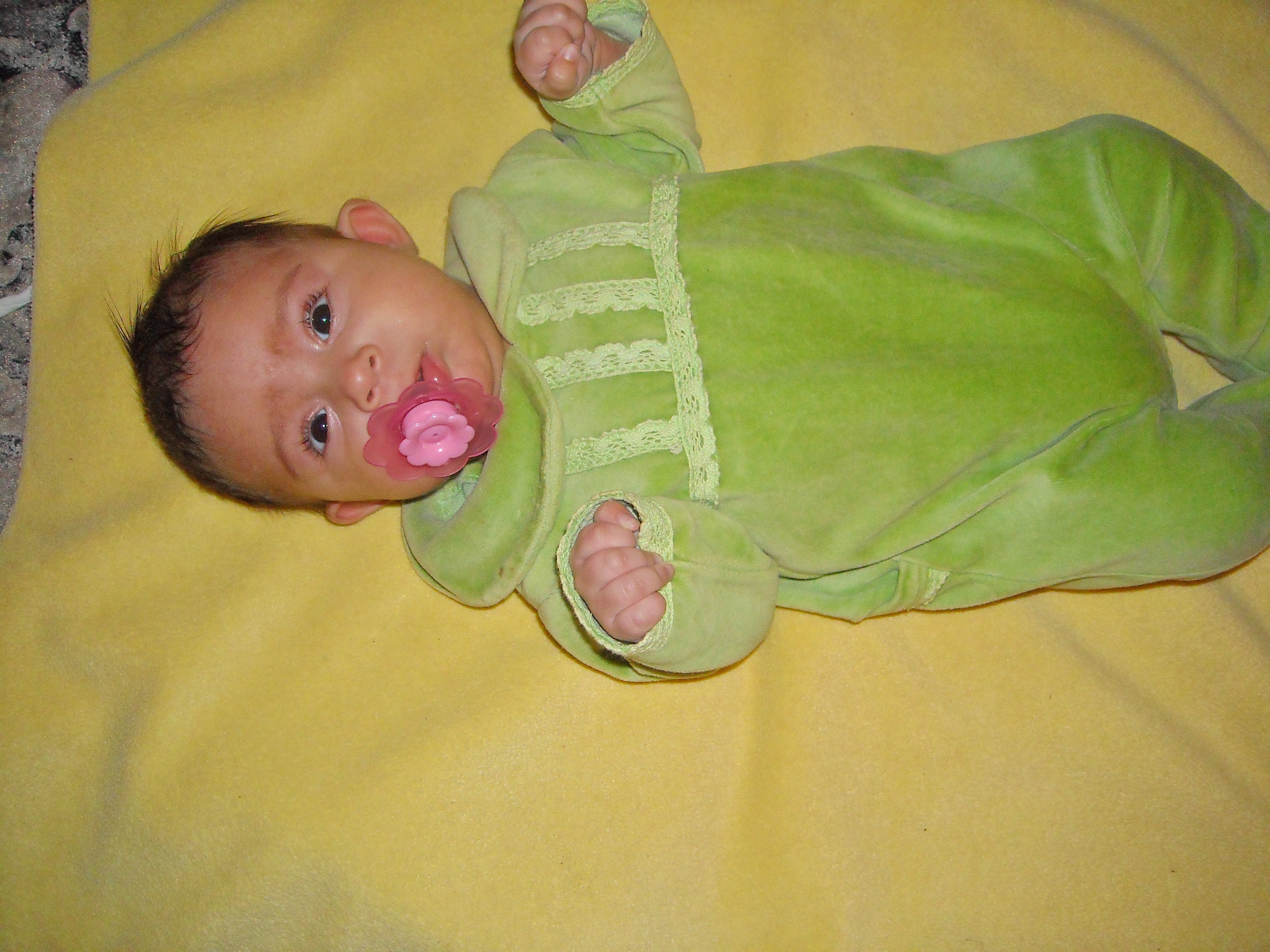 FSCN2010.JPG